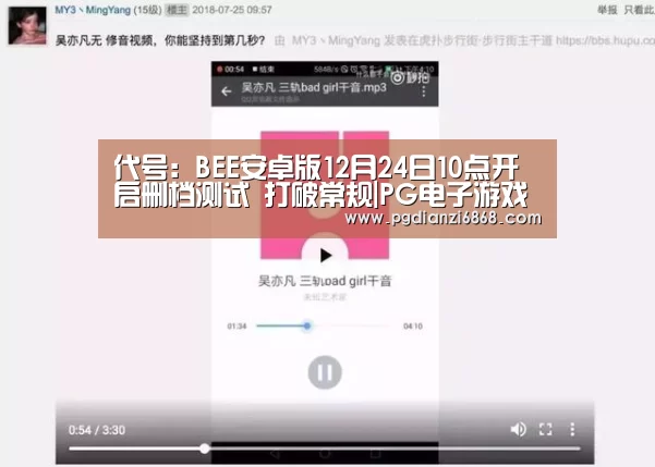 代号:BEE安卓版12月24日10点开启删档测试 打破常规|PG电子游戏(图2) PG电子APP下载